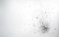 10_graphite-white.jpg